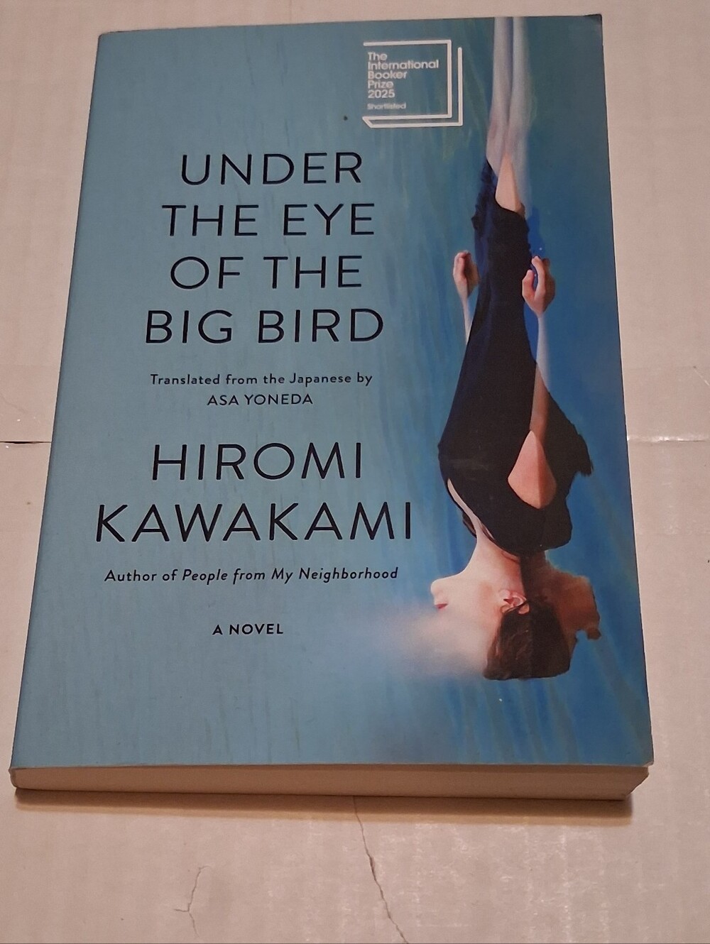 Under the Eye of the Big Bird by Hiromi Kawakamitrade paperback book. Some geni